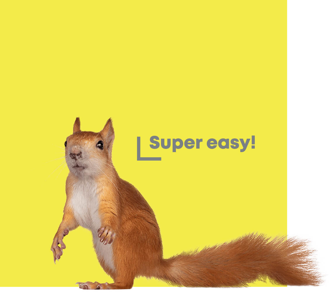 super easy Hörnchen